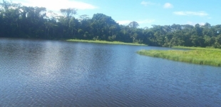 Imagen Laguna Pastaza